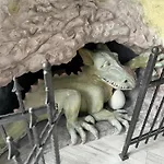 U Krakonose Appartement *